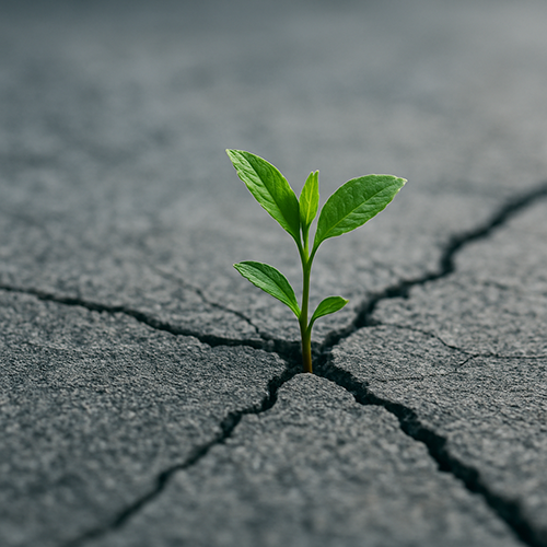 The Blueprint of Belief: Building Your Sustainable Online Business